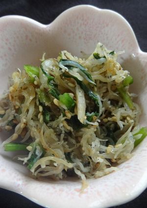 いつもの常備菜　じゃこ菜炒め-レシピのメイン写真