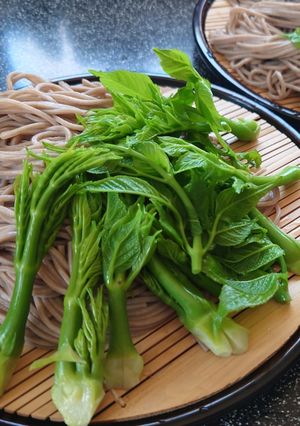春限定 タラの芽サラダ蕎麦-レシピのメイン写真