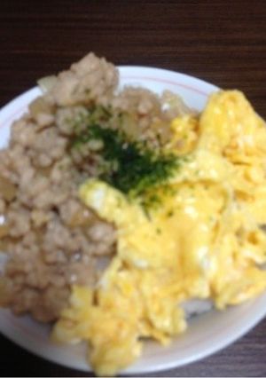 簡単に二色丼-レシピのメイン写真