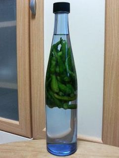 青唐辛子のコーレーグス風-レシピのメイン写真