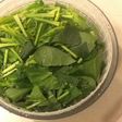 ソテーに簡単☆裏技!ほうれん草のあく抜き
