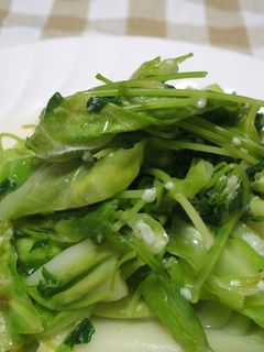 春キャベツと豆苗の塩麹炒め-レシピのメイン写真