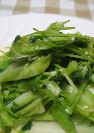 春キャベツと豆苗の塩麹炒め-レシピのメイン写真