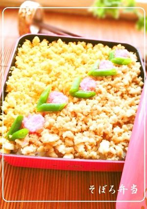 華やかに✿そぼろ弁当-レシピのメイン写真