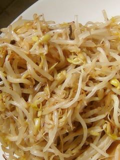 もやし炒め-レシピのメイン写真