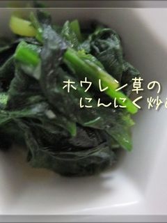 ホウレン草のにんにく炒め-レシピのメイン写真