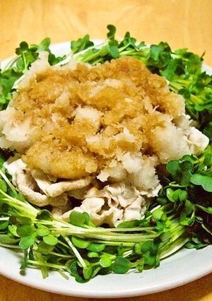 忙しい時のおろし冷しゃぶ-レシピのメイン写真