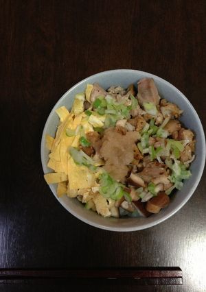 二度美味しい♪鶏飯♪♪-レシピのメイン写真