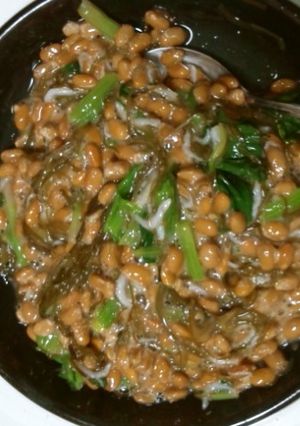 納豆deおつまみ-レシピのメイン写真