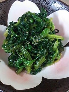 ほうれん草のごま和え-レシピのメイン写真