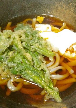 よもぎの天ぷらうどん-レシピのメイン写真