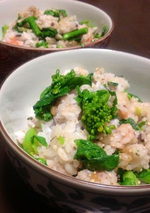 プレ農家めし◆菜の花と明太子の混ぜご飯-レシピのメイン写真