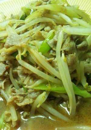 簡単豚肉ともやし炒め-レシピのメイン写真