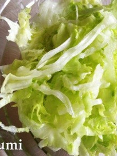 1分で完成!レタスとすし酢だけサラダ‼-レシピのメイン写真