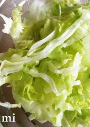 １分で完成！レタスとすし酢だけサラダ‼-レシピのメイン写真