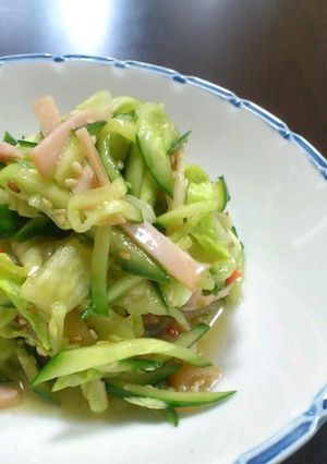 さっぱり簡単！中華サラダ-レシピのメイン写真