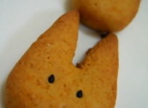 キャロット★クッキー（にんじんパウダー）-レシピのメイン写真