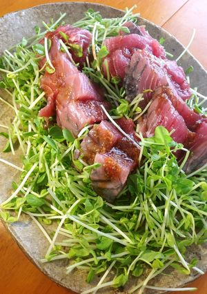 豆苗とかつおの刺身 生姜醤油がけ-レシピのメイン写真