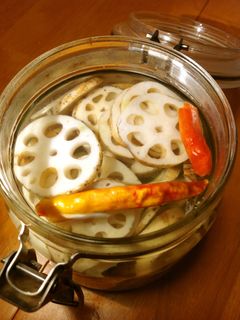 蓮根のピリ辛昆布茶マリネ-レシピのメイン写真