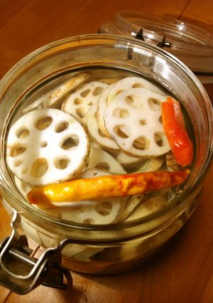 蓮根のピリ辛昆布茶マリネ-レシピのメイン写真
