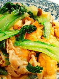 簡単美味♪チンゲン菜と卵のオイスター炒め-レシピのメイン写真