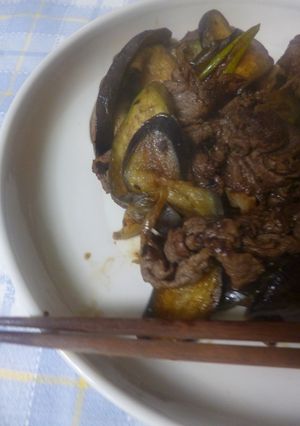 牛肉・なす・白ネギのオイスターソース炒め-レシピのメイン写真