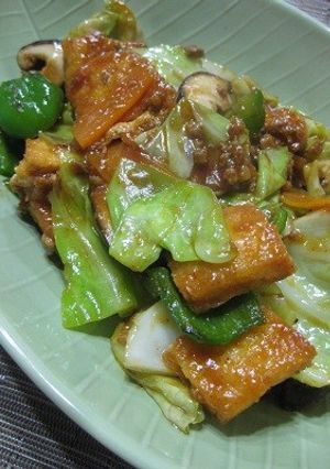 野菜と焼き油揚げの麻婆炒め-レシピのメイン写真