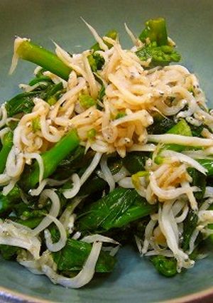 菜の花としらすのあえ物-レシピのメイン写真