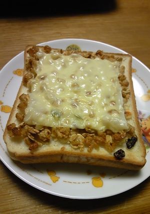 フルグラチ-ズト-スト-レシピのメイン写真