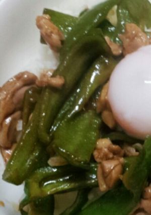 ソース丼☆-レシピのメイン写真