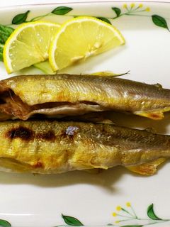 レモン汁で頂く鮎の塩焼き-レシピのメイン写真