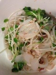 簡単!レンジだけ!新玉とカイワレのお浸し-レシピのメイン写真
