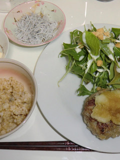 ハンバーグ~おろしポン酢-レシピのメイン写真