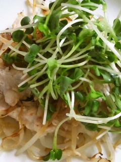 簡単蒸し豚-レシピのメイン写真