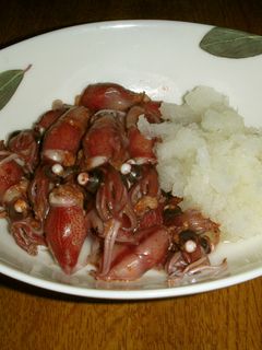 ãã¿ã«ã¤ã«ã®ããããã³é
¢-ã¬ã·ãã®ã¡ã¤ã³åç