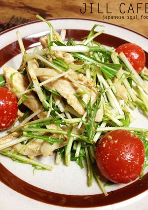 茹で鶏と水菜のゴマサラダ-レシピのメイン写真
