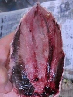いわしの手開きの仕方-レシピのメイン写真