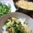 大根っぱと揚げ玉のごはん