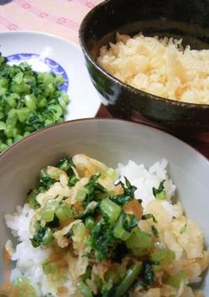 大根っぱと揚げ玉のごはん-レシピのメイン写真