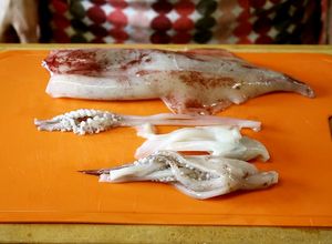 イカ（するめイカ）の下処理【動画プラス】-レシピのメイン写真