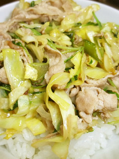 簡単!うちの豚丼♪-レシピのメイン写真