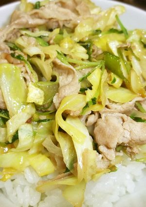 簡単！うちの豚丼♪-レシピのメイン写真