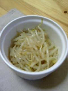 もやしのナムル-レシピのメイン写真