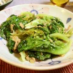 รูปของ 簡単！サラダ菜とシーチキン炒め