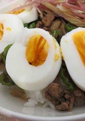 大人のさっぱりドライカレー♪-レシピのメイン写真