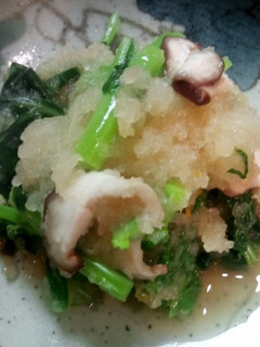 かき菜(のらぼう菜)のおろしポン酢和え-レシピのメイン写真