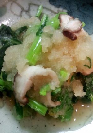 かき菜（のらぼう菜）のおろしポン酢和え-レシピのメイン写真