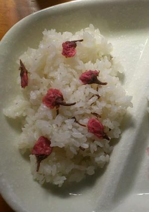 桜ごはん-レシピのメイン写真