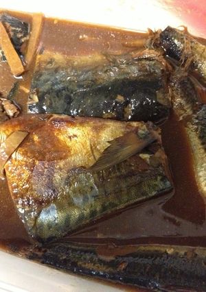 サバとイワシの味噌煮連合（圧力鍋）-レシピのメイン写真
