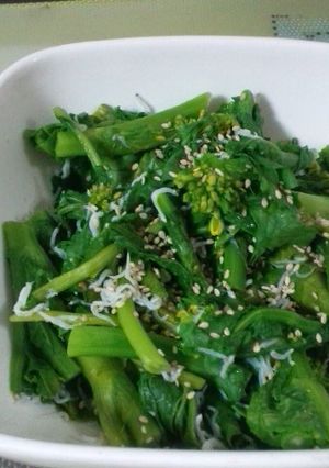 花粉症に良い菜の花のしらす和え-レシピのメイン写真